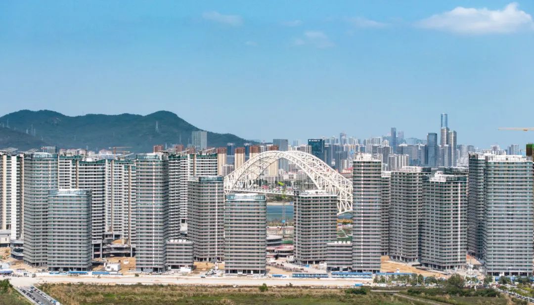 1734789996554840.jpg 8.jpg