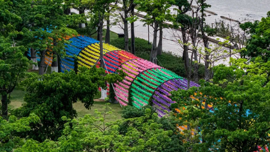 1747295928725257.jpg 17.jpg